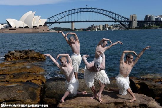 悉尼男性舞者天鹅舞动 与海天完美融合