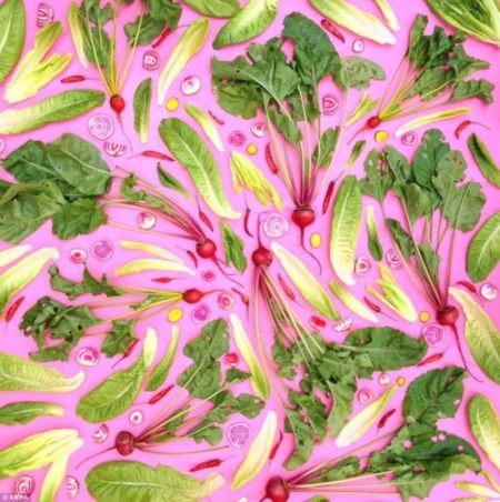 英国艺术家为鼓励健康饮食用蔬果作画